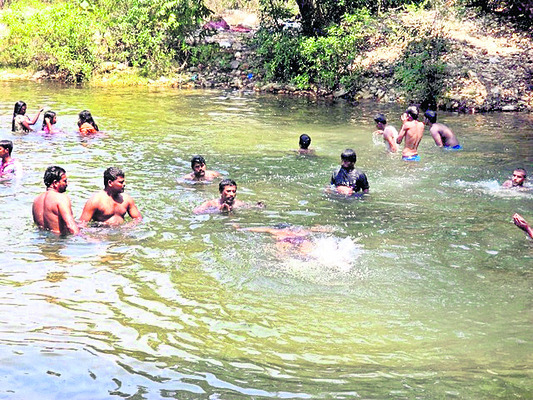 స్వచ్ఛమైన గాలి.. పరిశుభ్రమైన నీరు.. పచ్చటి అడవి.. శ్రవణ4