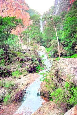 స్వచ్ఛమైన గాలి.. పరిశుభ్రమైన నీరు.. పచ్చటి అడవి.. శ్రవణ2