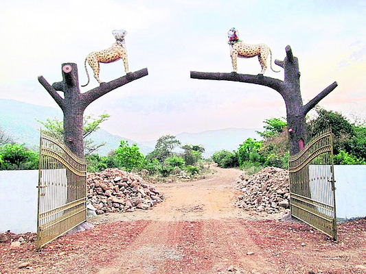 స్వచ్ఛమైన గాలి.. పరిశుభ్రమైన నీరు.. పచ్చటి అడవి.. శ్రవణ1