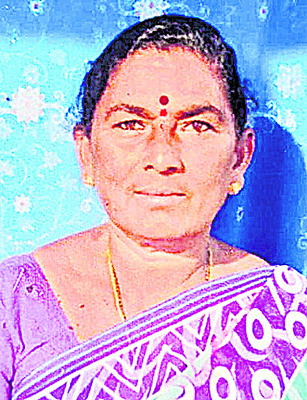 భాష, సంస్కృతి వికాసానికి కృషి 1