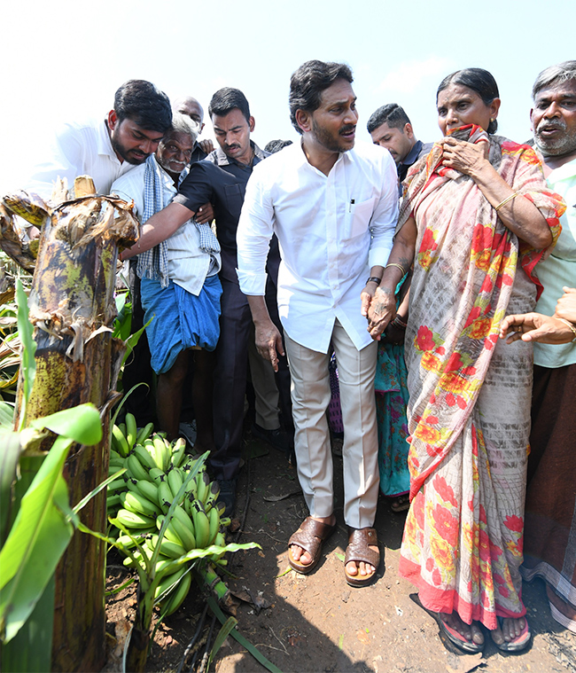YS Jagan Support Farmers Pulivendula Photos17