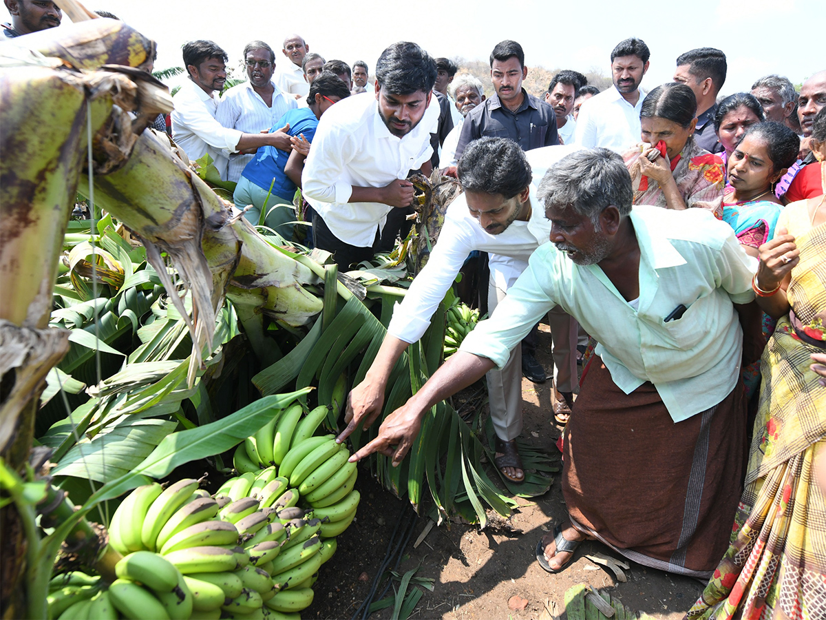 YS Jagan Support Farmers Pulivendula Photos18