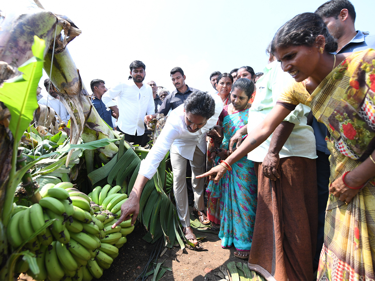 YS Jagan Support Farmers Pulivendula Photos20