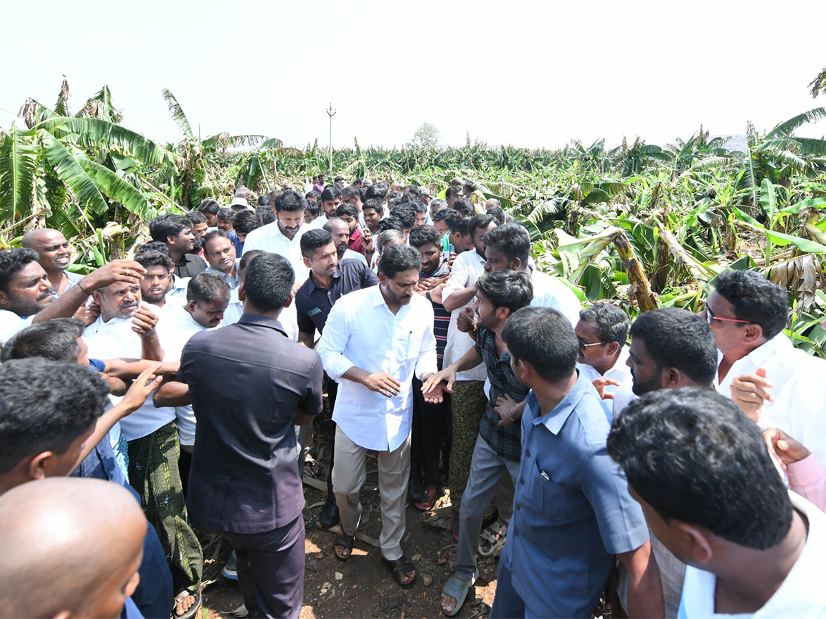 YS Jagan Support Farmers Pulivendula Photos21