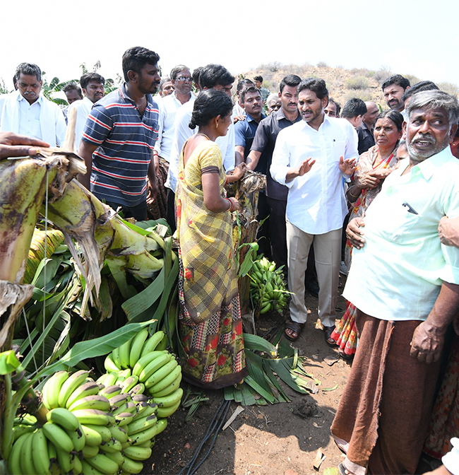 YS Jagan Support Farmers Pulivendula Photos23