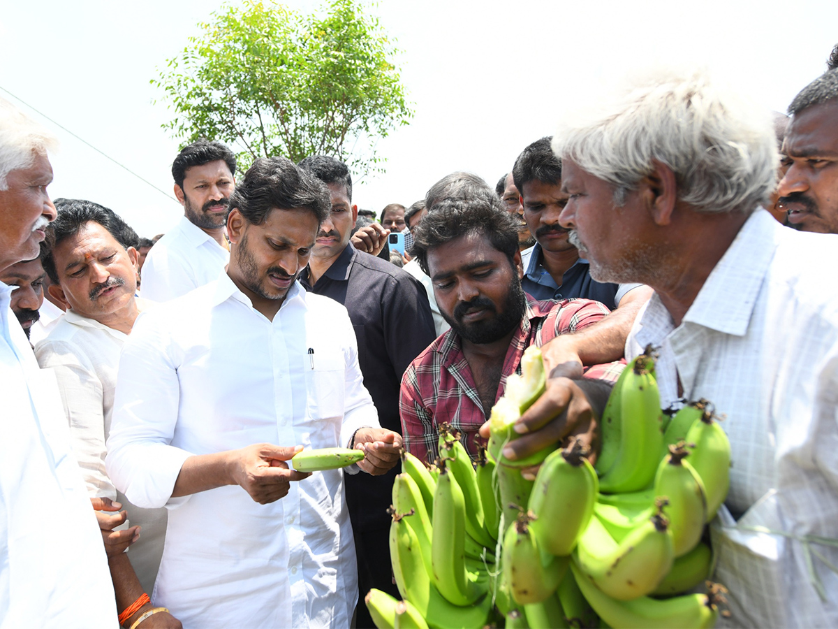 YS Jagan Support Farmers Pulivendula Photos27