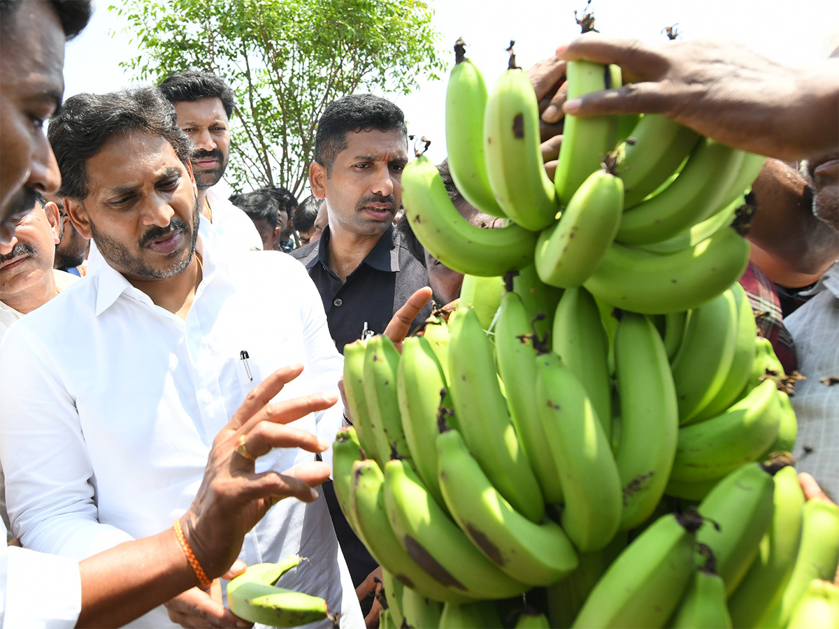 YS Jagan Support Farmers Pulivendula Photos32