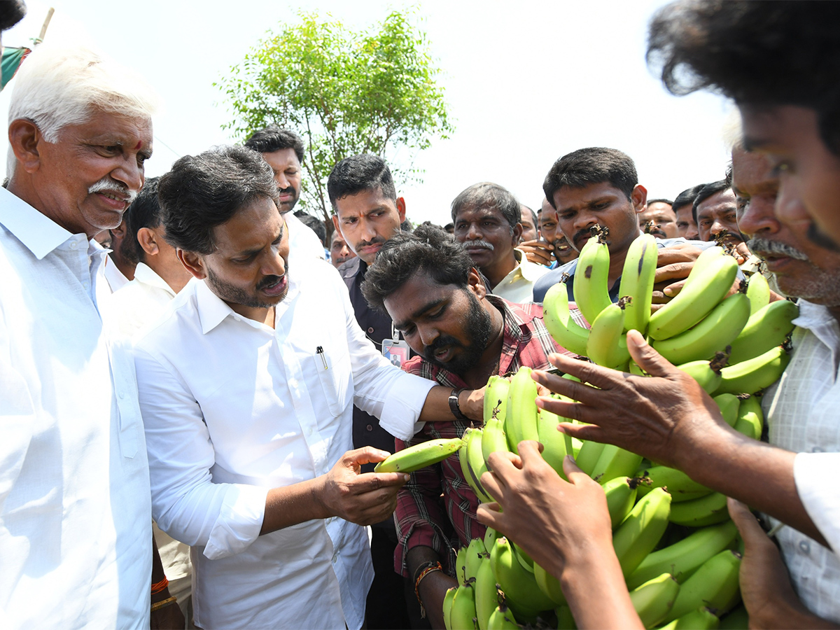 YS Jagan Support Farmers Pulivendula Photos33