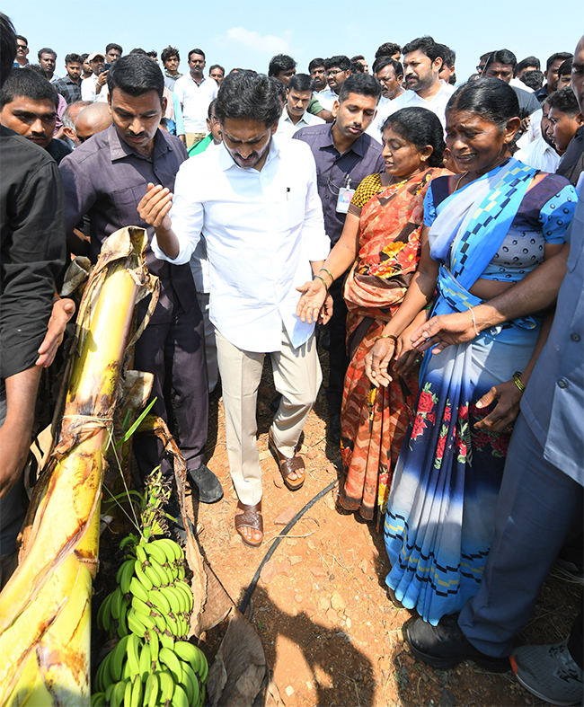 YS Jagan Support Farmers Pulivendula Photos5