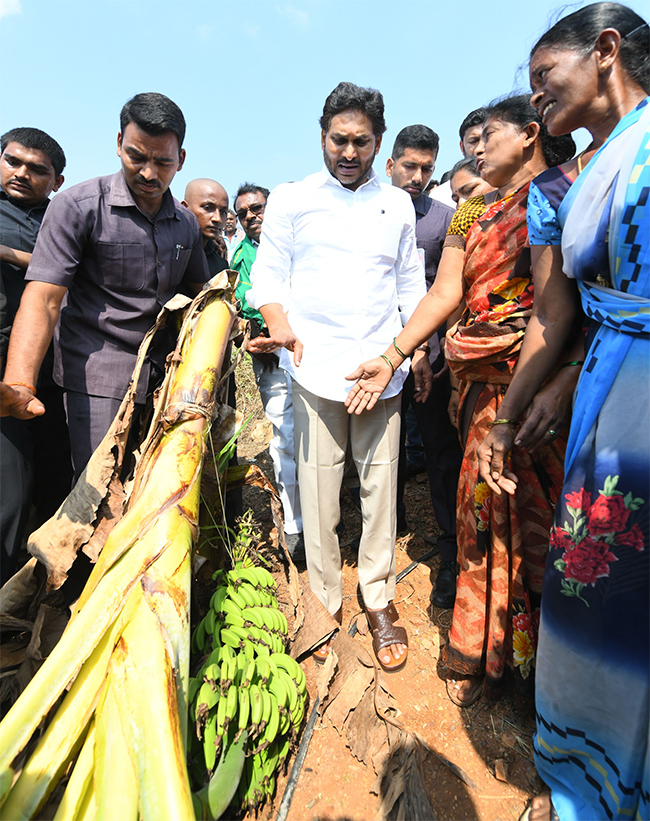 YS Jagan Support Farmers Pulivendula Photos6