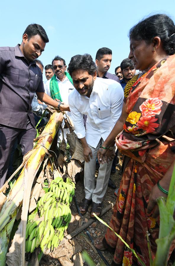 YS Jagan Support Farmers Pulivendula Photos8