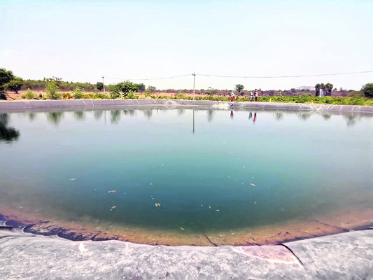 సేంద్రియ పద్ధతిలో విభిన్న పంటల సాగు2