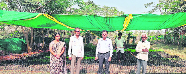 ముగిసిన నామినేషన్ల ఉపసంహరణ ప్రక్రియ1