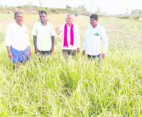 నేడు  డయల్‌ యువర్‌ డీఎం  
1