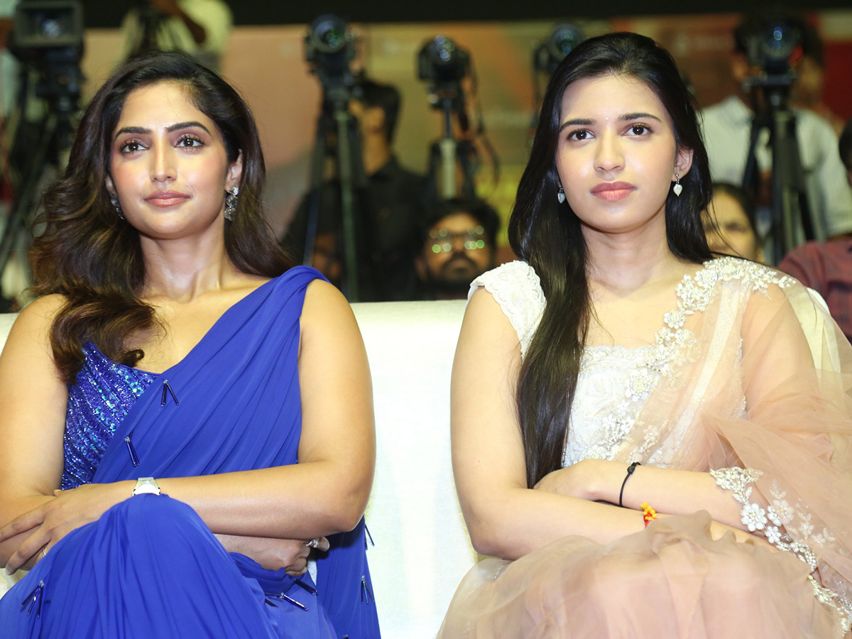 Mad Square Movie Pre Release Event Photos12