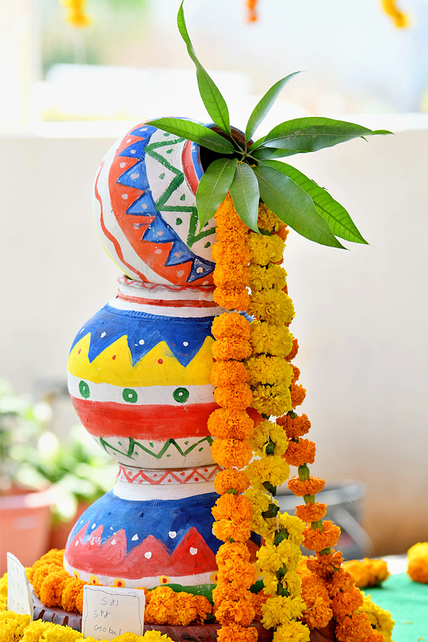 Ugadhi Celebrations In SPR School Under The Auspices Of Sakshi Photos14