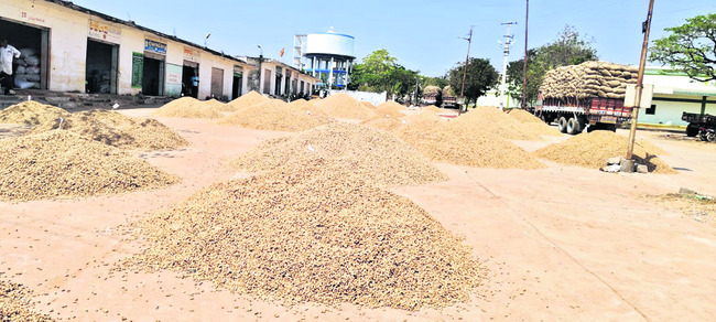 భవిష్యత్‌  వ్యవసాయ రంగానిదే.. 1