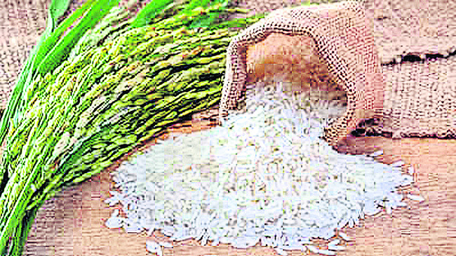 జిల్లాలో రేషన్‌కార్డులిలా.. 
5