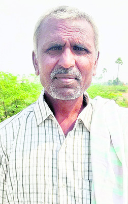 వరికి ఊస..రైతుకు బెంగ3