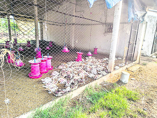 విద్యుత్‌ తీగను పట్టుకొని వ్యక్తి ఆత్మహత్య1