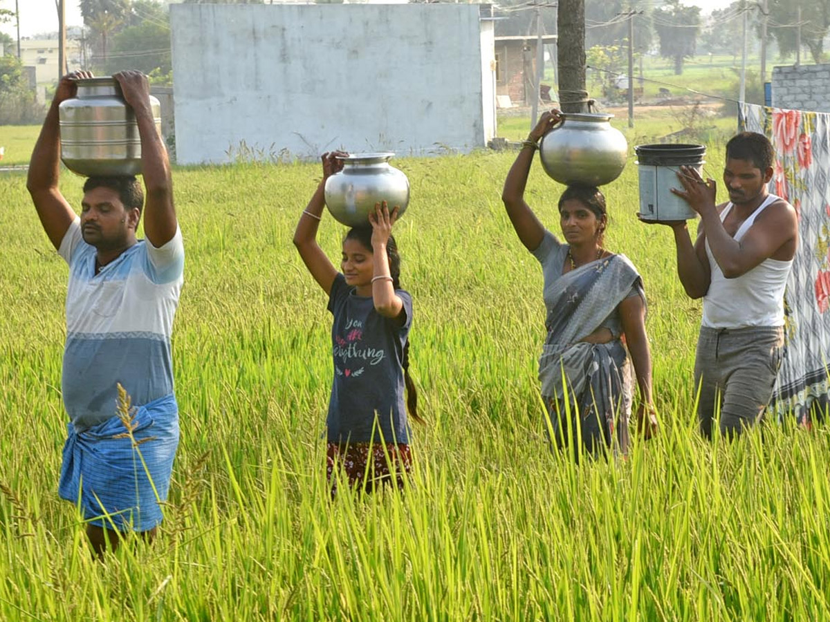 Best Photos of The Week in AP and Telangana Photo Gallery20
