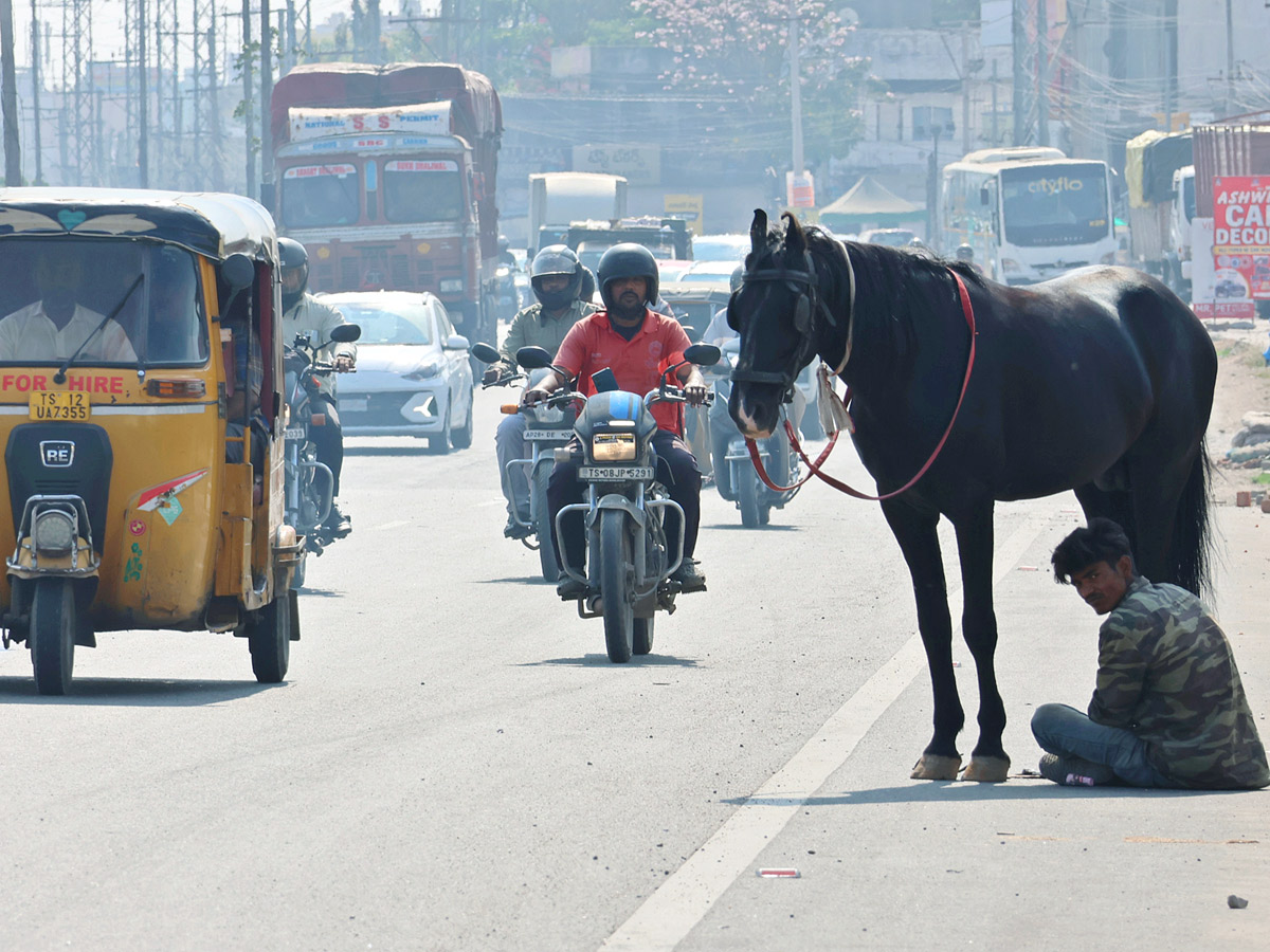 Best Photos of The Week in AP and Telangana Photo Gallery5