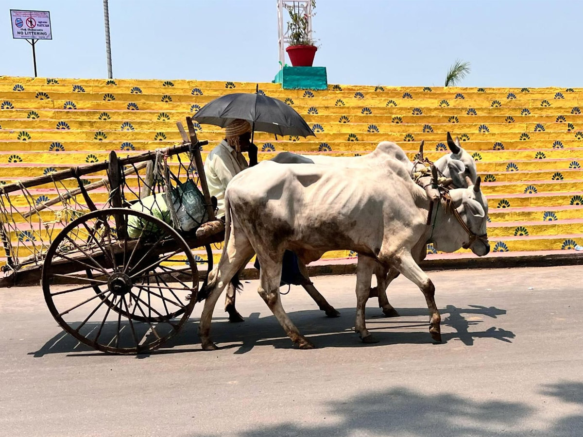 Best Photos of The Week in AP and Telangana Photo Gallery8