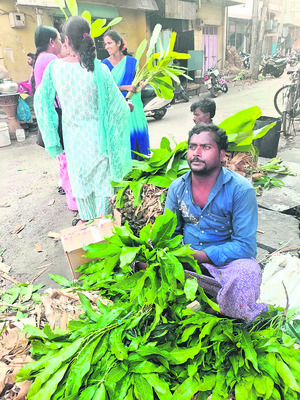 ఉగాది వేడుకలకు సర్వం సిద్ధం 1