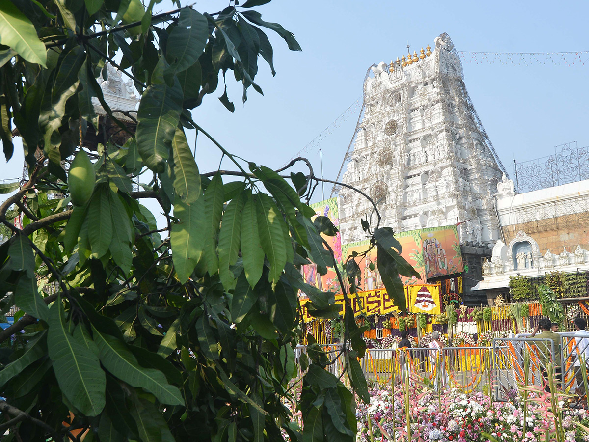 Ugadi 2025 Celebrations in Tirumala12