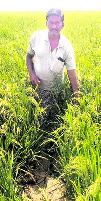 చివరికి మిగిలింది కన్నీరే!3