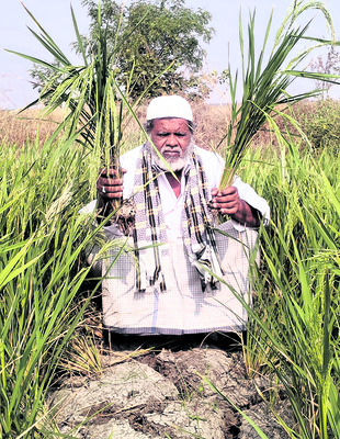 చివరికి మిగిలింది కన్నీరే!2