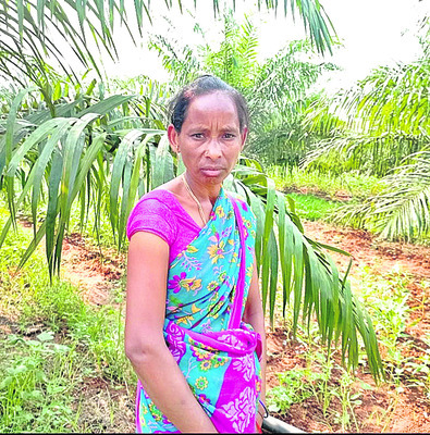 ఆయిల్‌పామ్‌ వైపు మెట్ట రైతులు2