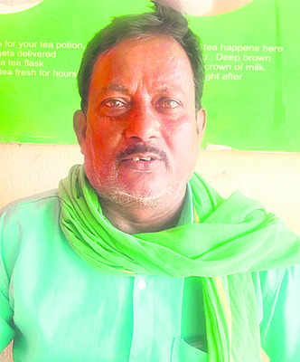 మక్కకు పందుల బెడద2