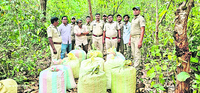 బాలికపై అత్యాచారం  కేసులో ఫారెస్టర్‌ అరెస్టు 1