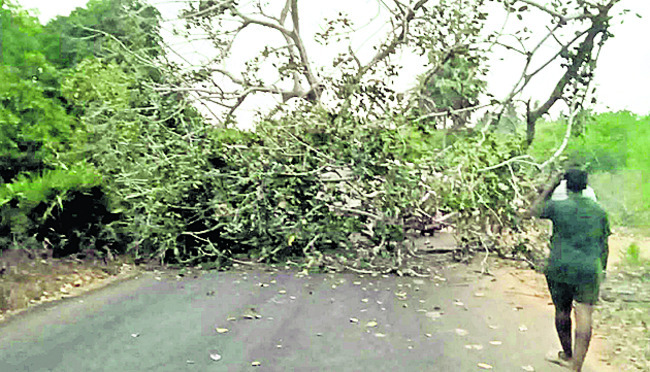 ప్రజలందరూ సుఖసంతోషాలతో ఉండాలి.. 1
