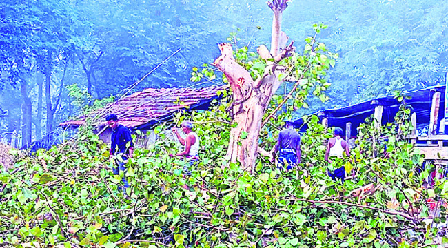 పచ్చ తమ్ముడి బరితెగింపు1