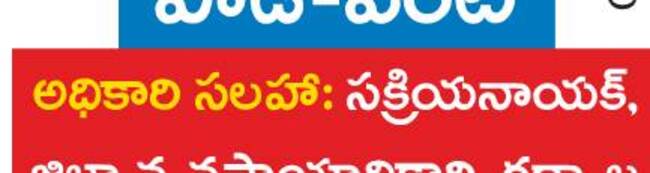 కరివేపాకు సాగు.. లాభాలు బాగు 1