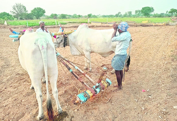 ఊరూరా ఉగాది వేడుకలు 1