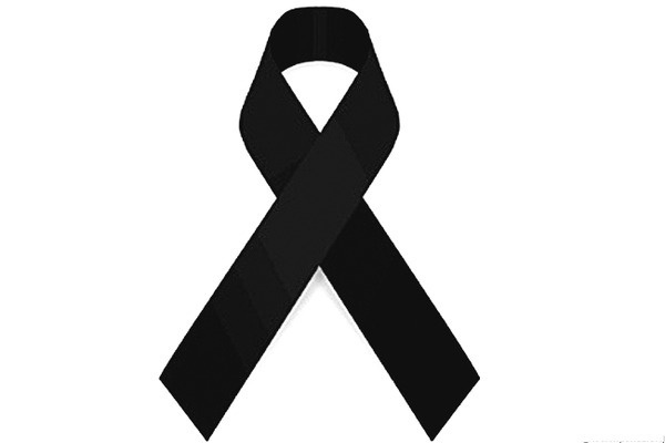 ఒక్కో నిరసనకు ఒక్కో రిబ్బన్‌ 3