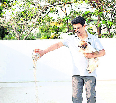 ముగిసిన ఆస్తిపన్ను గడువు 
2