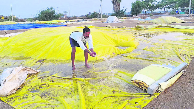 ఈదురుగాలులు.. వడగండ్ల వర్షం1