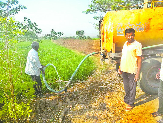 అడుగంటిన నీళ్లు.. ఎండిన చేన్లు 1