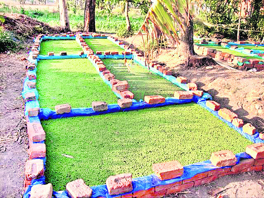 పశుదాణాకు ప్రత్యామ్నాయం..2