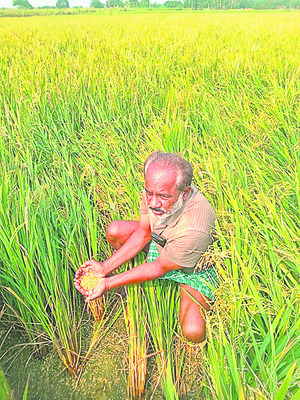 శుక్రవారం శ్రీ 11 శ్రీ ఏప్రిల్‌ శ్రీ 20252