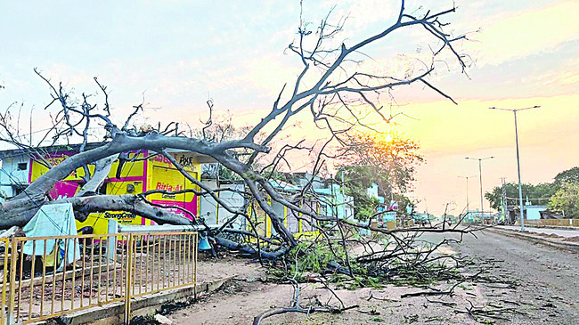 అన్నదాత.. గుండె కోత2