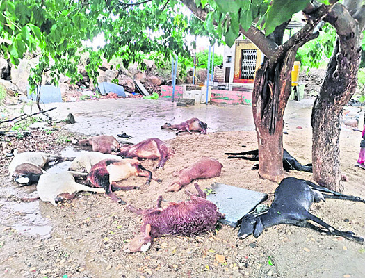 కూలీల సంఖ్య పెంచాలి 1