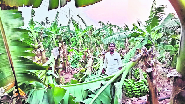 వైభవంగా పోతులరాజు మహోత్సవం 1