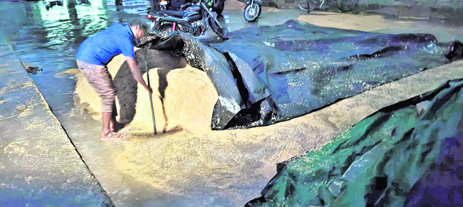 అకాల వర్షం.. రైతుకు నష్టం2