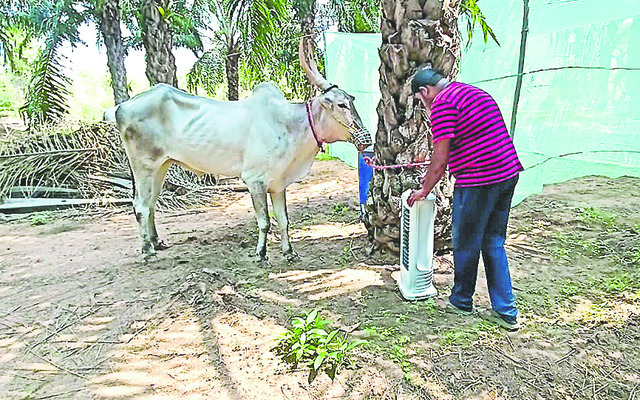 క్షేత్రం నుంచి క్షాత్రానికి! 2