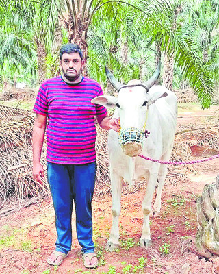 క్షేత్రం నుంచి క్షాత్రానికి! 4